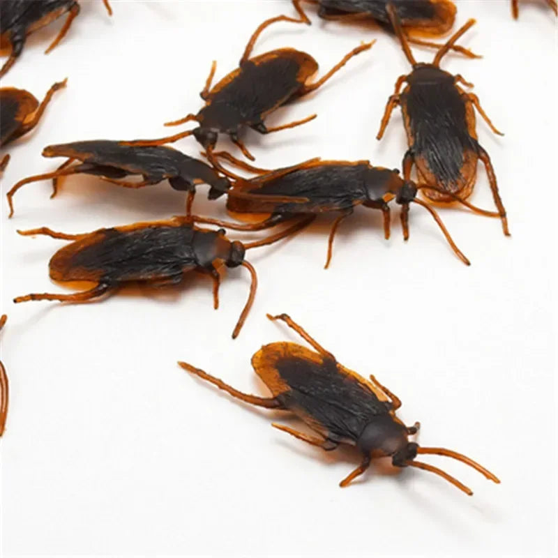 Ultimate Streich Kakerlaken-Sonderangebot