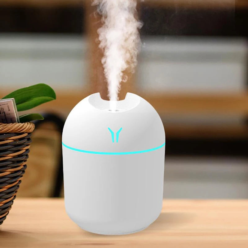 Mini Mist Humidifier 250ML