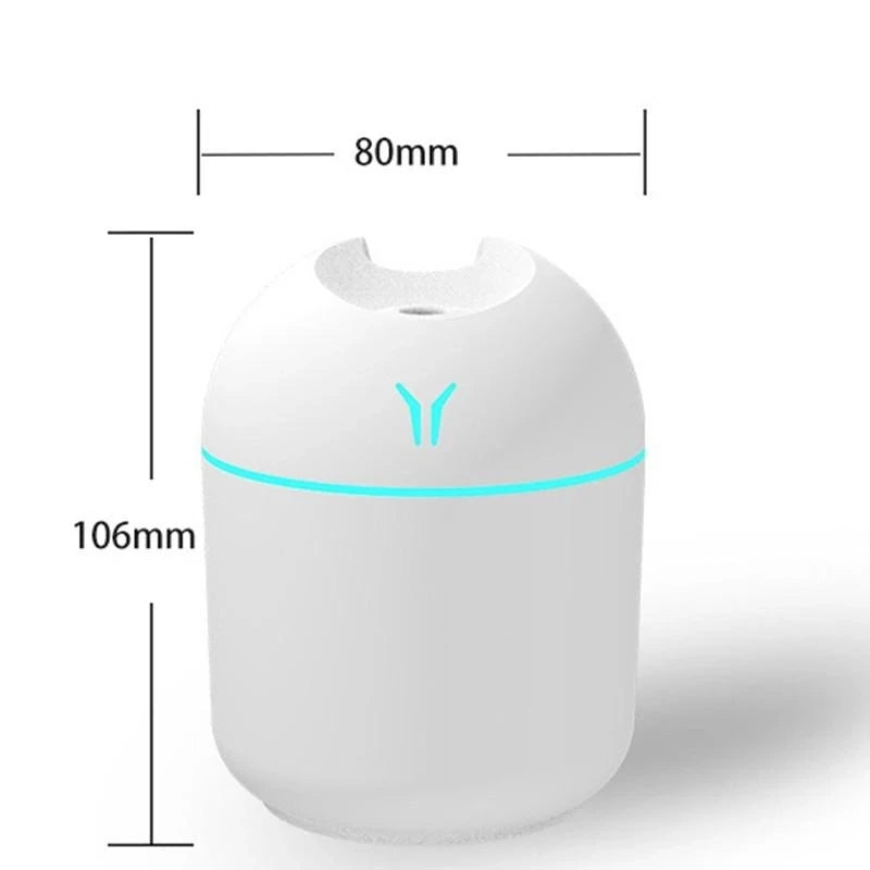 Mini Mist Humidifier 250ML