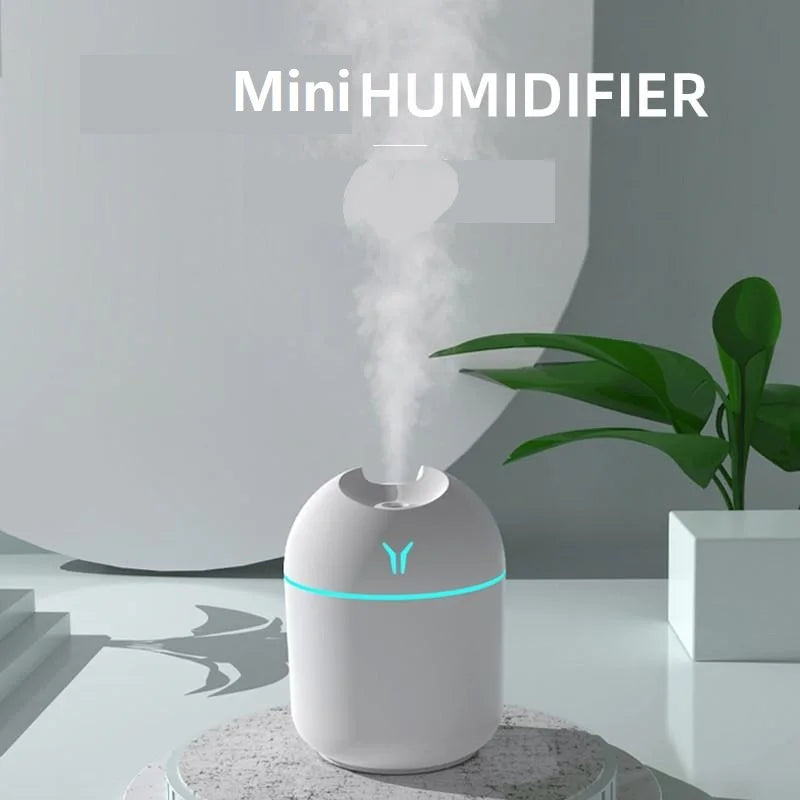 Mini Mist Humidifier 250ML